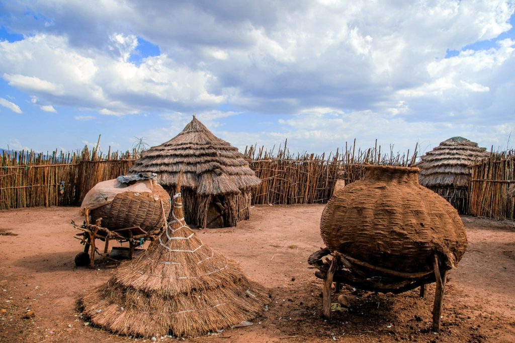 3 Days Fly in Kidepo Tour