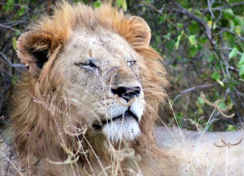 Uganda group tour