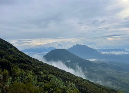 best Uganda group tour